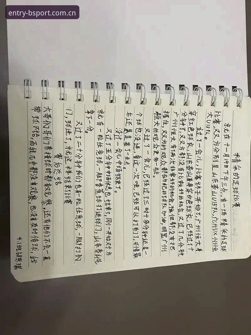 资深用户亲述：BSport流畅数据如何改变我的观赛体验，附真实使用心得